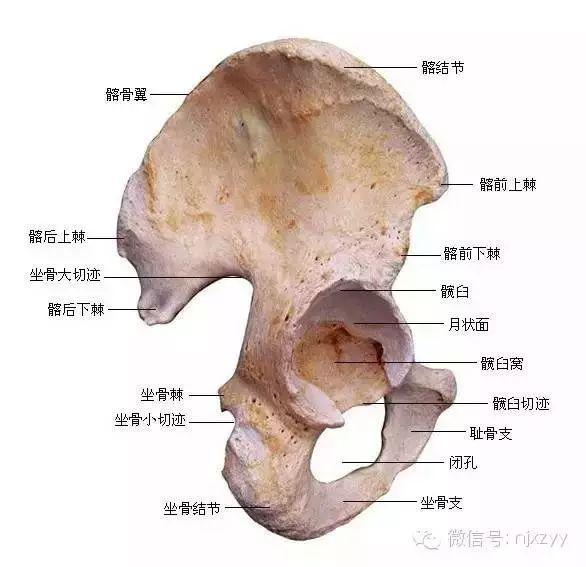 天舟一号卫星运动类型_运动舟_舟运动的越来越快用了什么原理