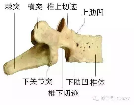 舟运动的越来越快用了什么原理_运动舟_天舟一号卫星运动类型