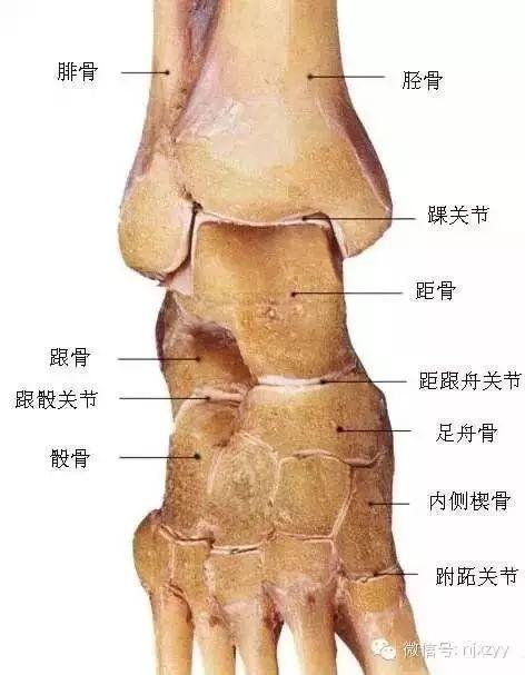 运动舟_天舟一号卫星运动类型_舟运动的越来越快用了什么原理