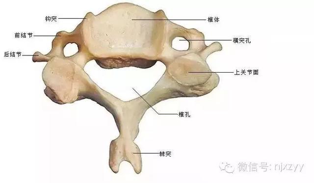 运动舟_天舟一号卫星运动类型_舟运动的越来越快用了什么原理