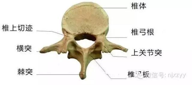 天舟一号卫星运动类型_运动舟_舟运动的越来越快用了什么原理