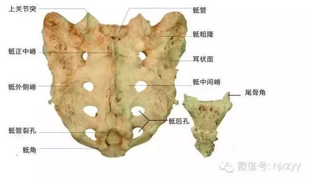 舟运动的越来越快用了什么原理_天舟一号卫星运动类型_运动舟