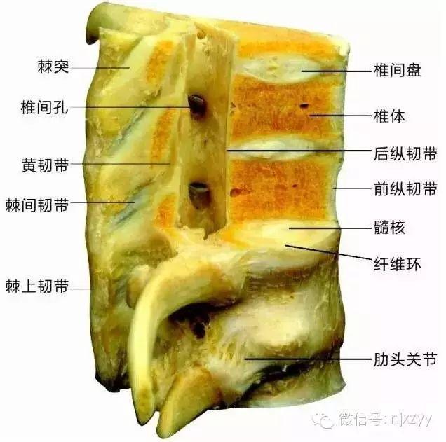 舟运动的越来越快用了什么原理_运动舟_天舟一号卫星运动类型