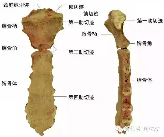 天舟一号卫星运动类型_舟运动的越来越快用了什么原理_运动舟