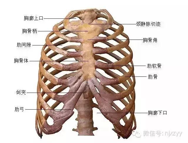 舟运动的越来越快用了什么原理_运动舟_天舟一号卫星运动类型