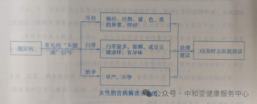 亚健康数据图_亚健康照片_亚健康图表