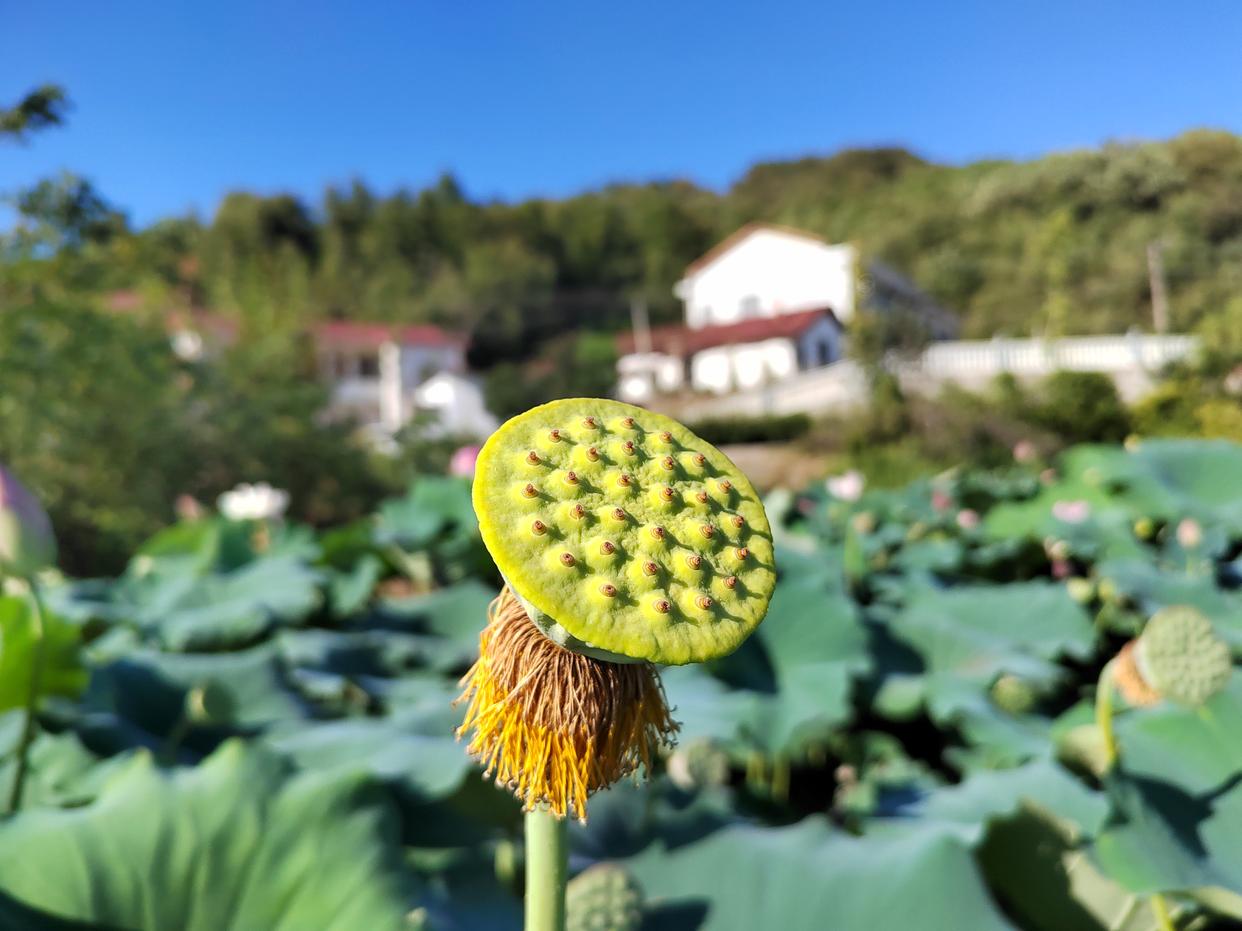 夫妻纯友谊是否存在矛盾_夫妻之间的友谊是最纯洁的_夫妻之间纯友谊