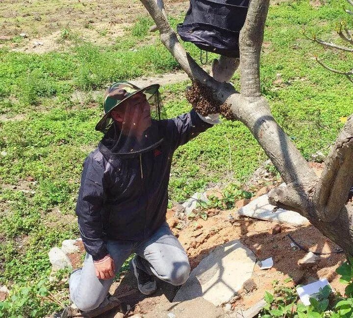 蜂趣社区怎么样_生活趣事微作文_蜂哥生活趣事