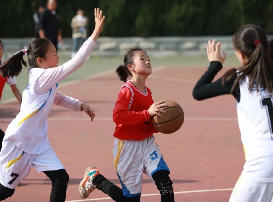 小学篮球教程_团战篮球技巧教学小学生_小学篮球怎么教