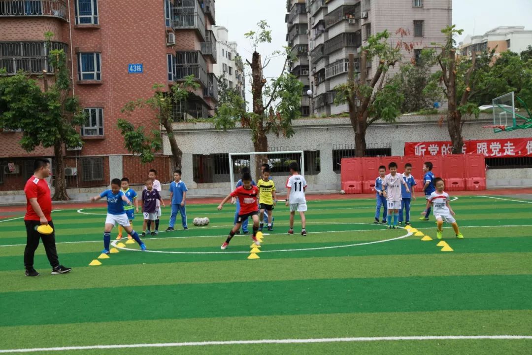 小学篮球怎么教_小学篮球战术训练视频_团战篮球技巧教学小学生