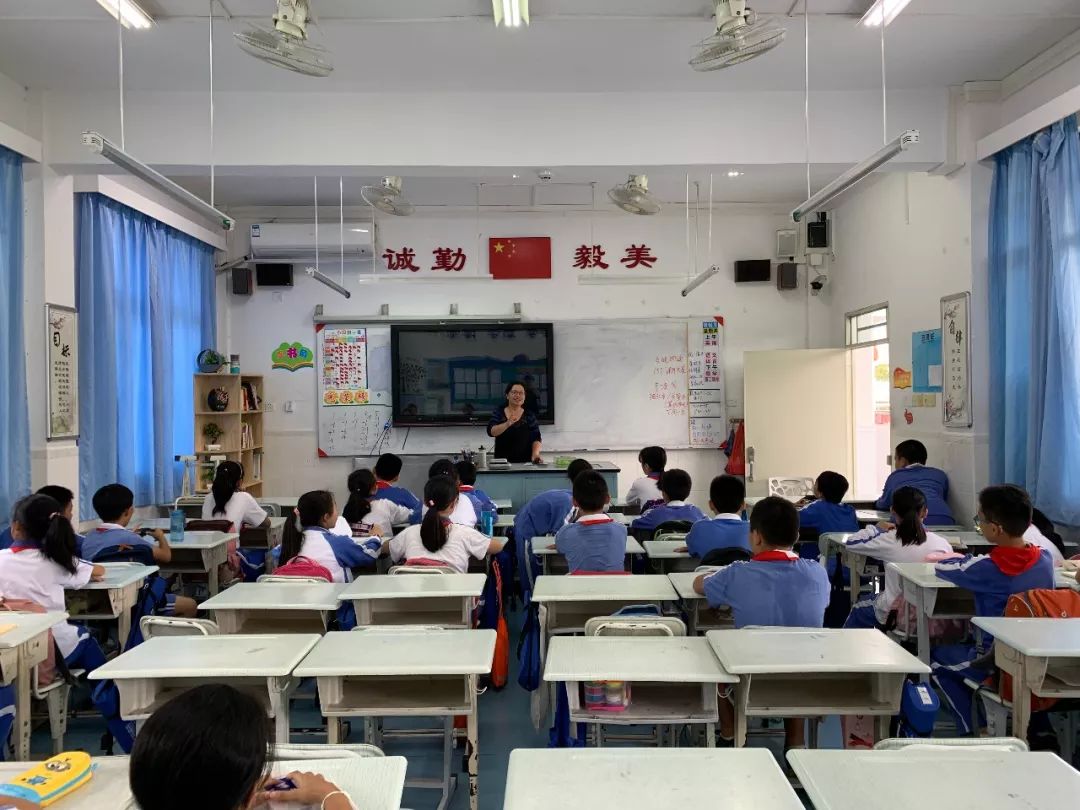 小学篮球战术训练视频_小学篮球怎么教_团战篮球技巧教学小学生