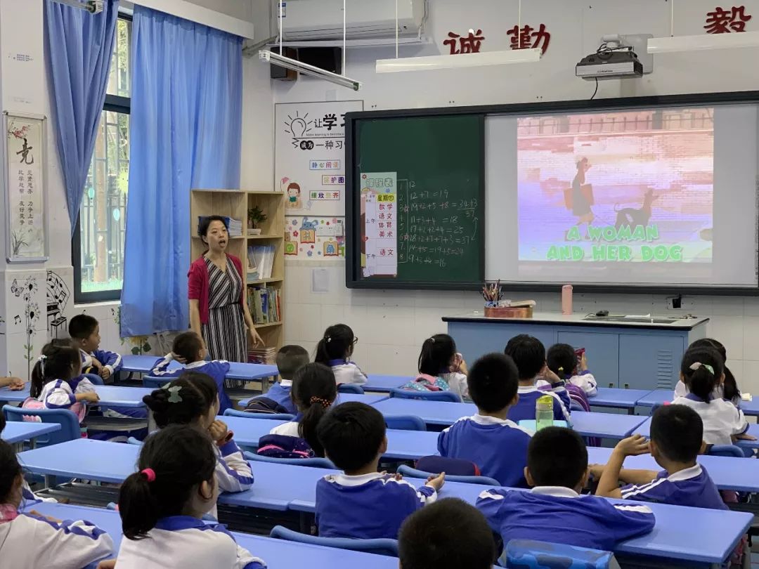 小学篮球战术训练视频_小学篮球怎么教_团战篮球技巧教学小学生