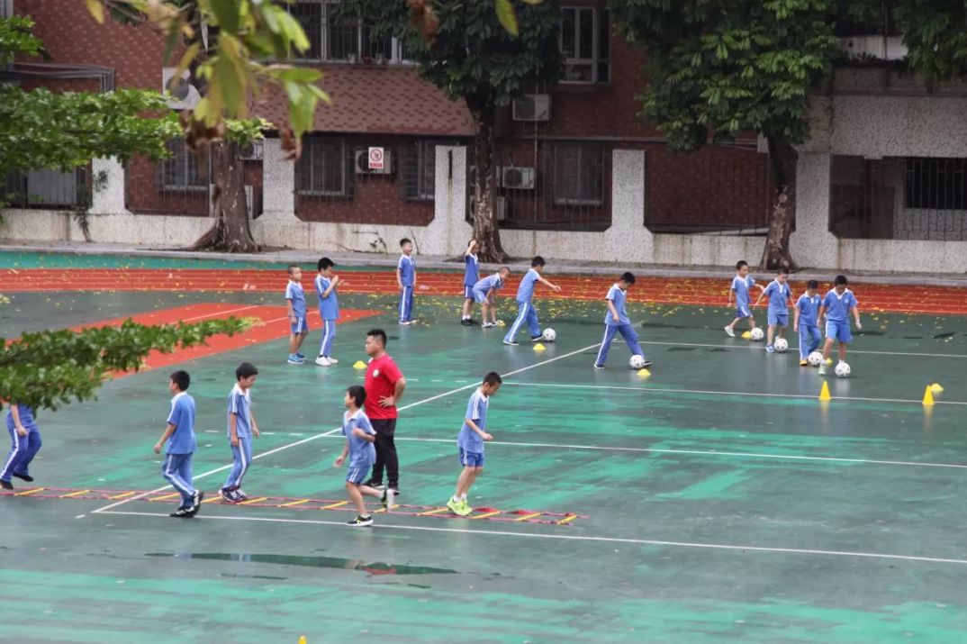 小学篮球战术训练视频_团战篮球技巧教学小学生_小学篮球怎么教