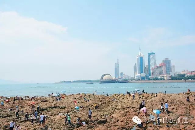 青岛旅游攻略：探索海滨城市的独特魅力与静